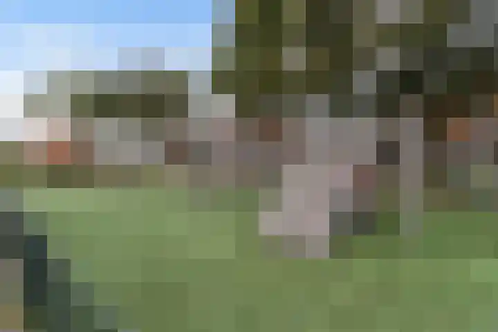 Admiraalsplein 180 Dordrecht thumbnail 43