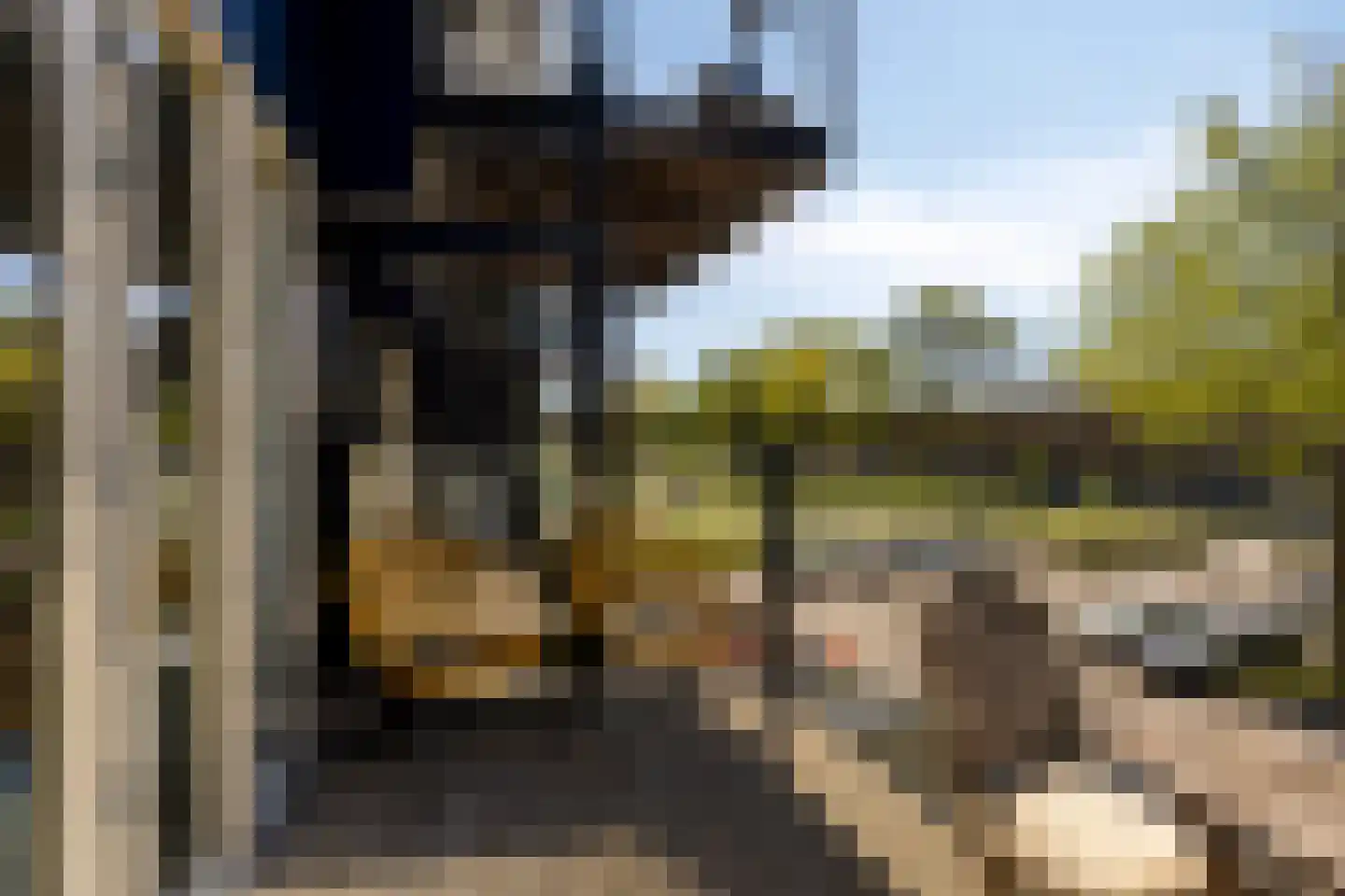 Admiraalsplein 181 Dordrecht thumbnail 4