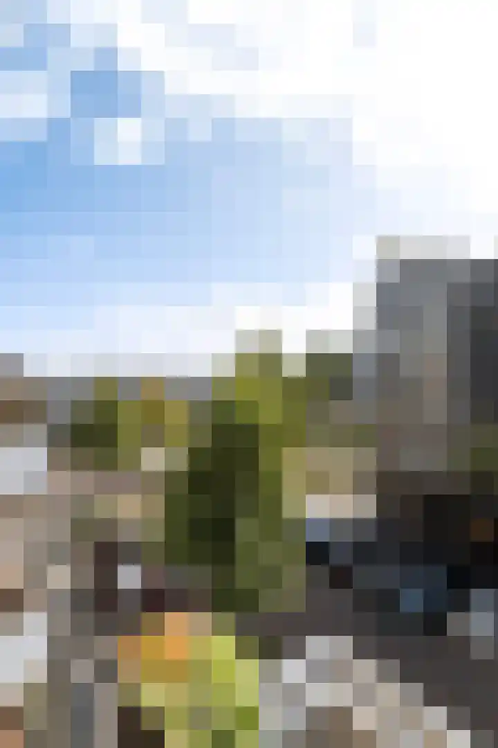 Admiraalsplein 44 Dordrecht thumbnail 33