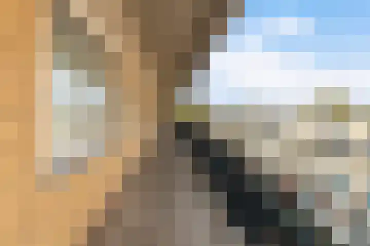 Admiraalsplein 44 Dordrecht thumbnail 5