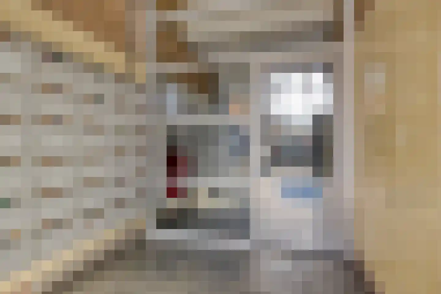 Admiraalsplein 449 Dordrecht thumbnail 4