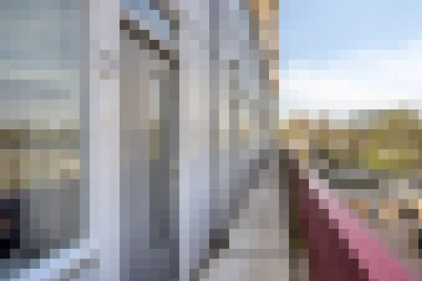 Admiraalsplein 449 Dordrecht thumbnail 5