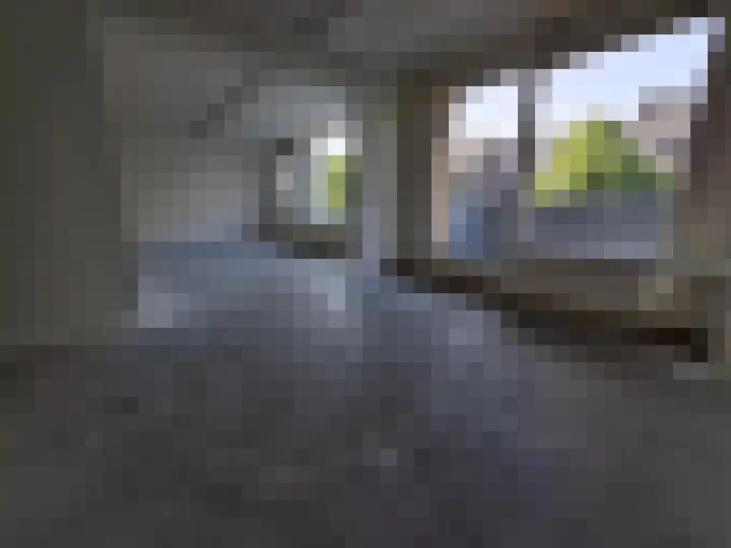 Admiraalsplein 49 Dordrecht thumbnail 8