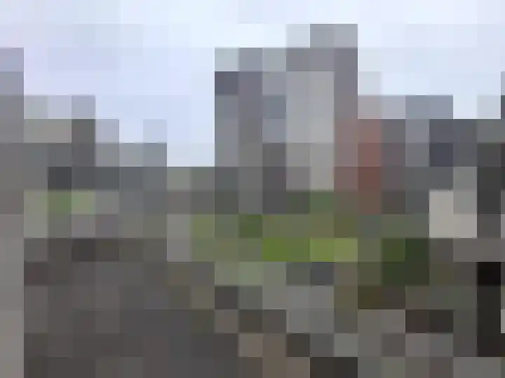 Admiraalsplein 76 Dordrecht thumbnail 21