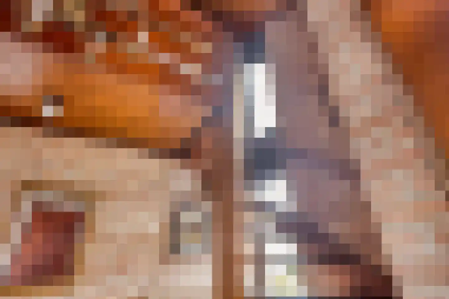 Admiraalsweg 37 Drunen thumbnail 15