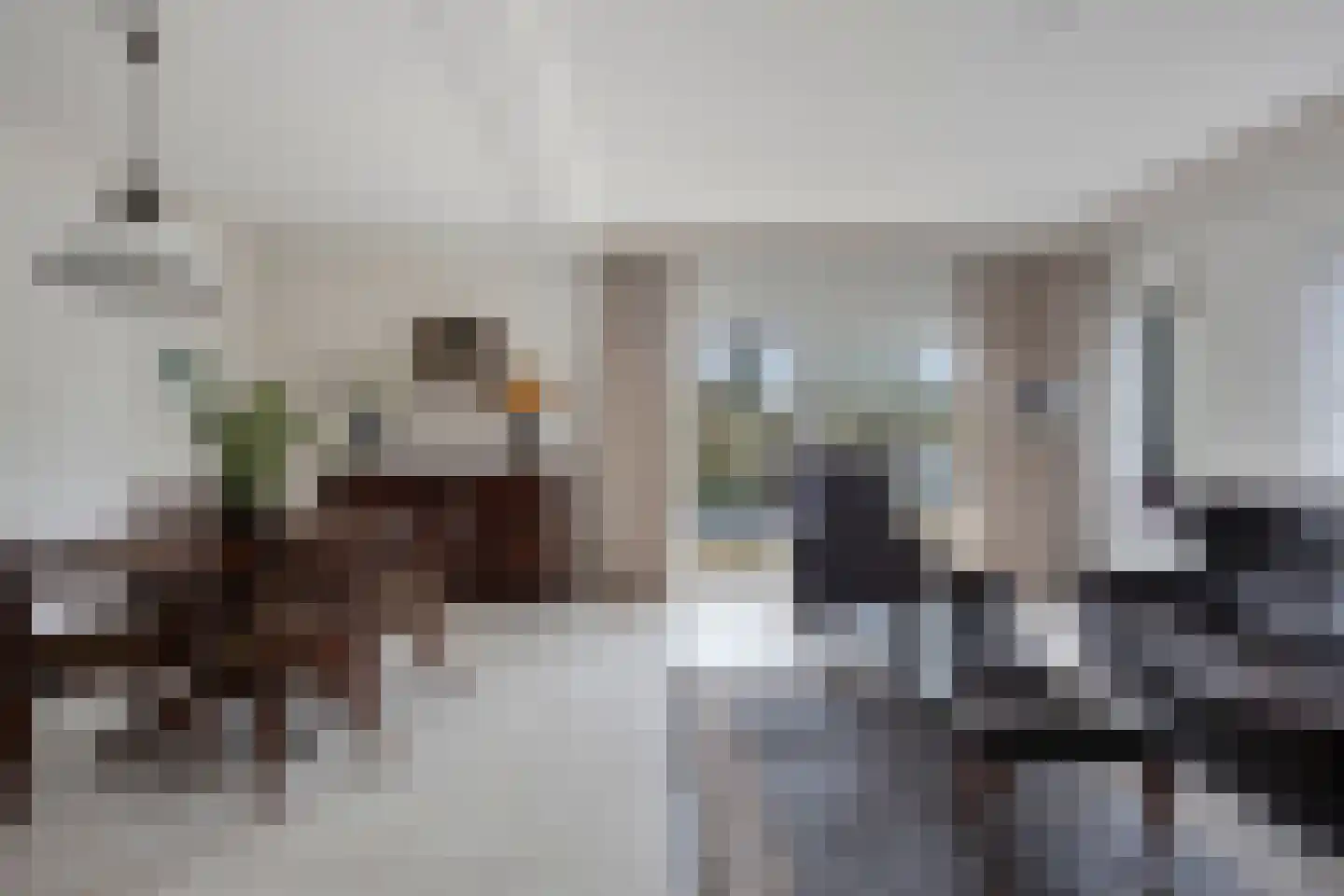 Admiraalsweg 37 Drunen thumbnail 16