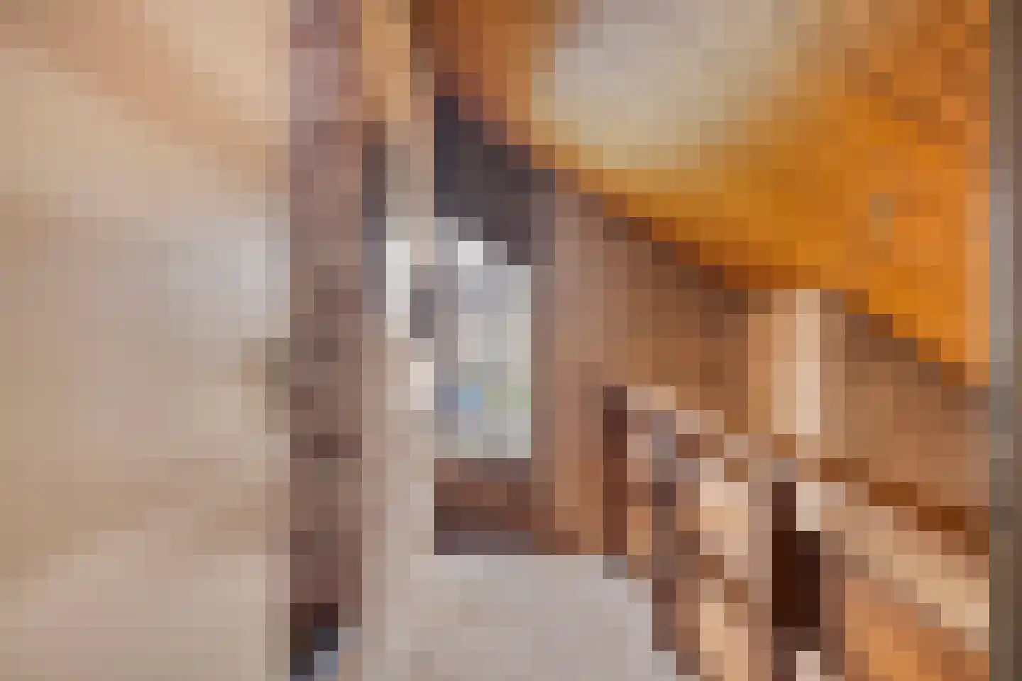 Admiraalsweg 37 Drunen thumbnail 35