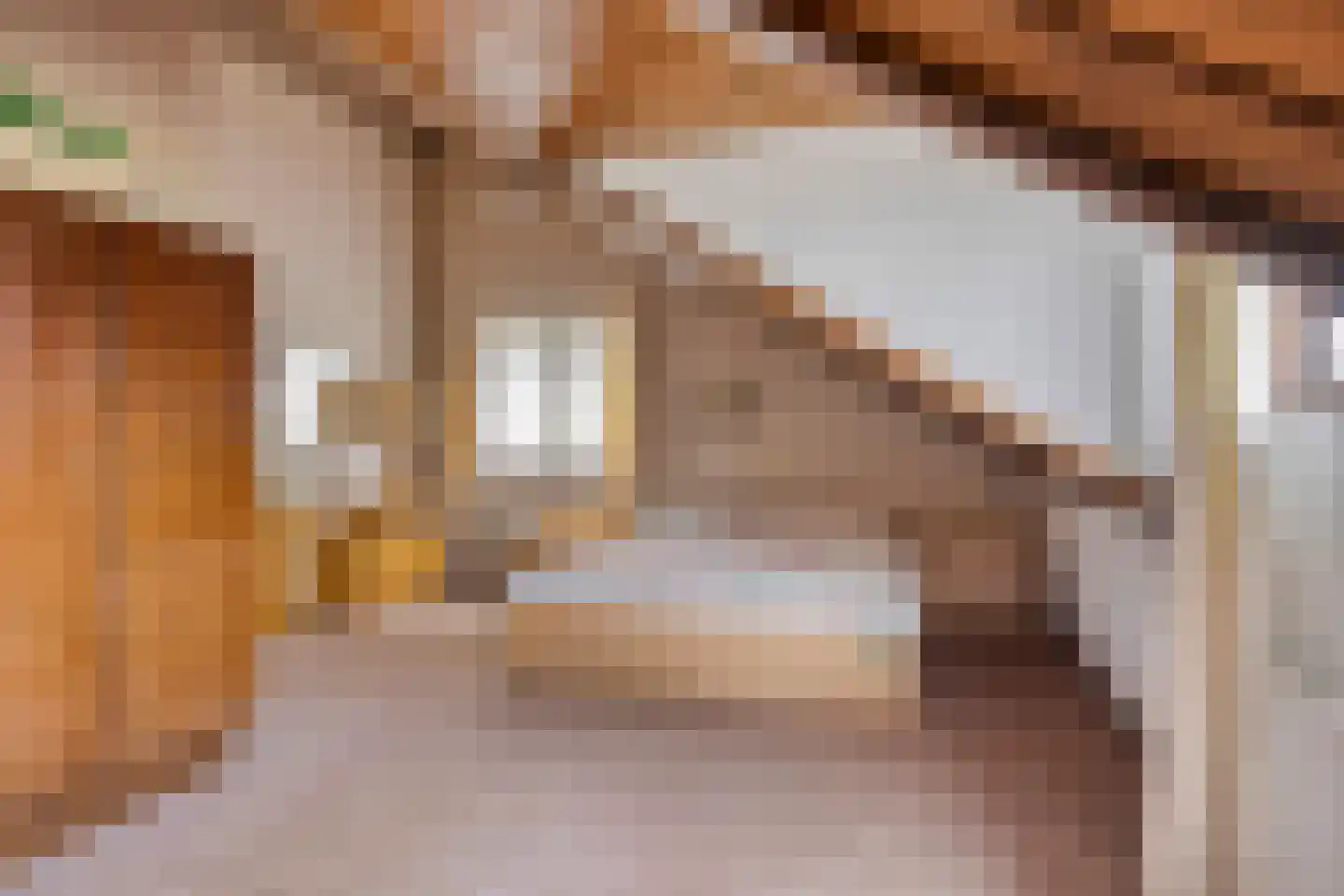 Admiraalsweg 37 Drunen thumbnail 36