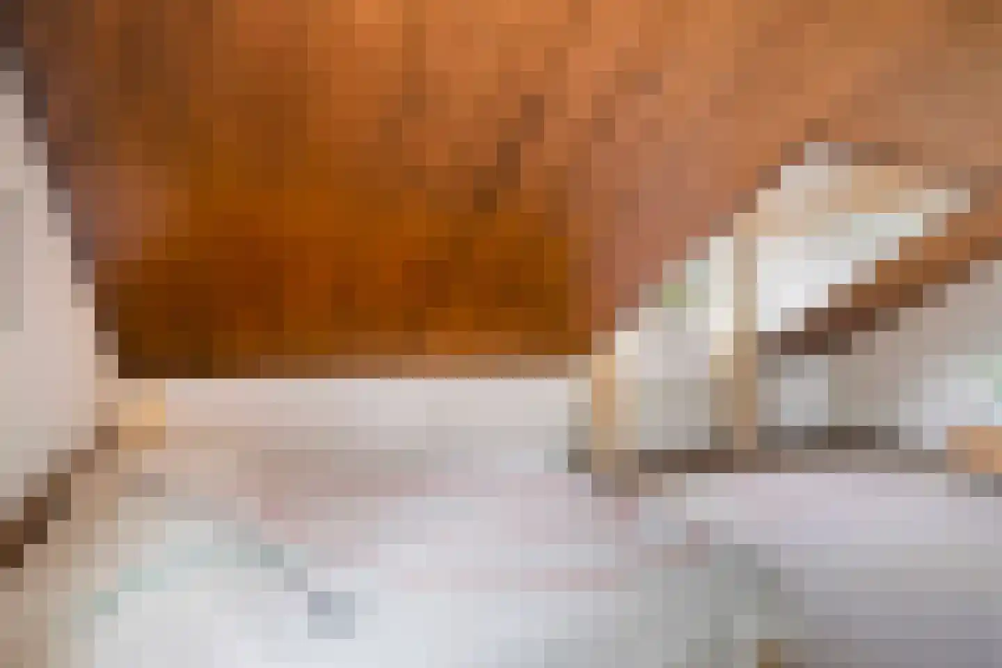 Admiraalsweg 37 Drunen thumbnail 37
