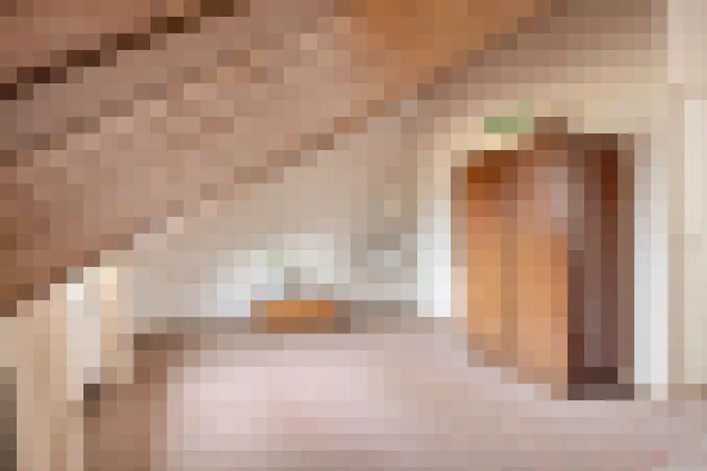 Admiraalsweg 37 Drunen thumbnail 38