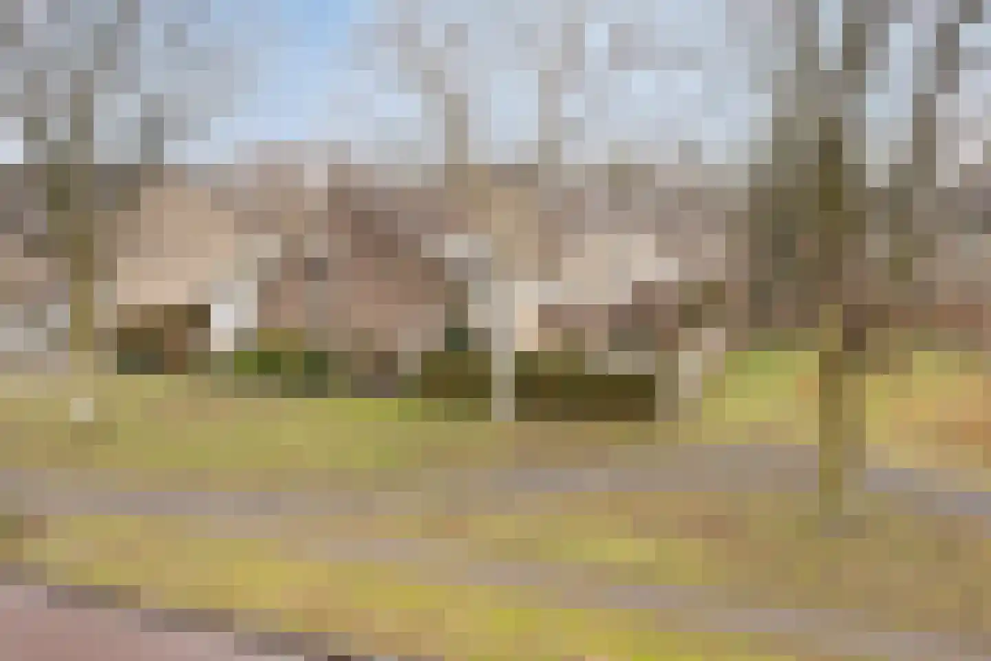 Admiraalsweg 37 Drunen thumbnail 6