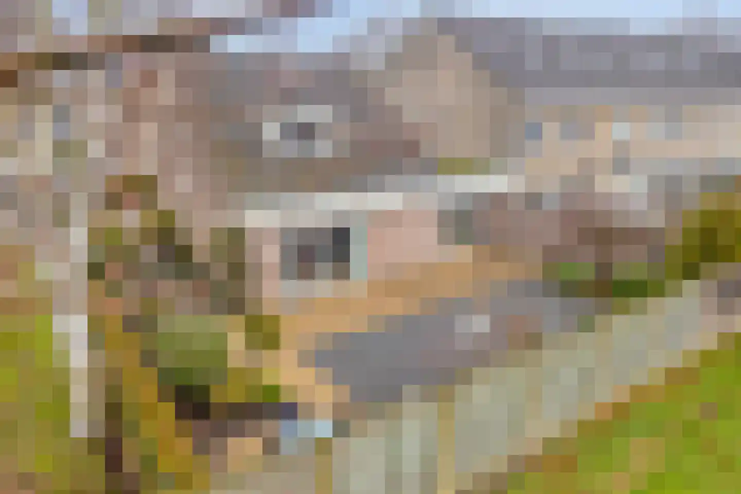 Admiraalsweg 37 Drunen thumbnail 7