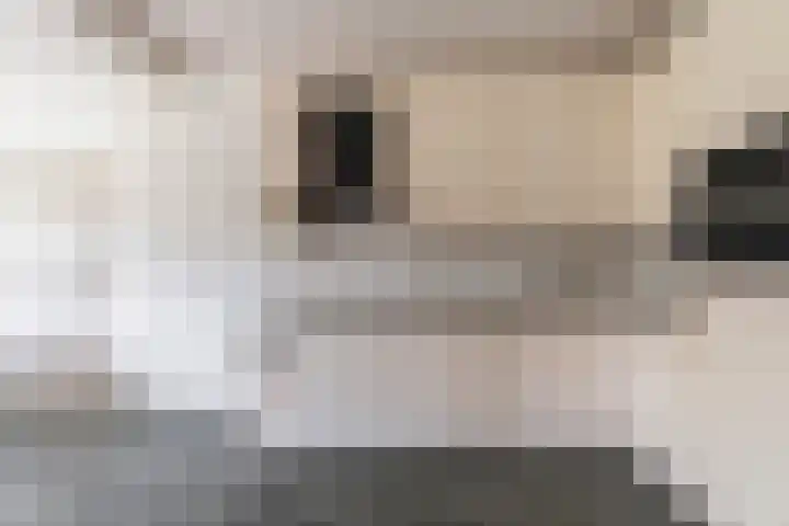 Admiraalsweg 8 Drunen thumbnail 11