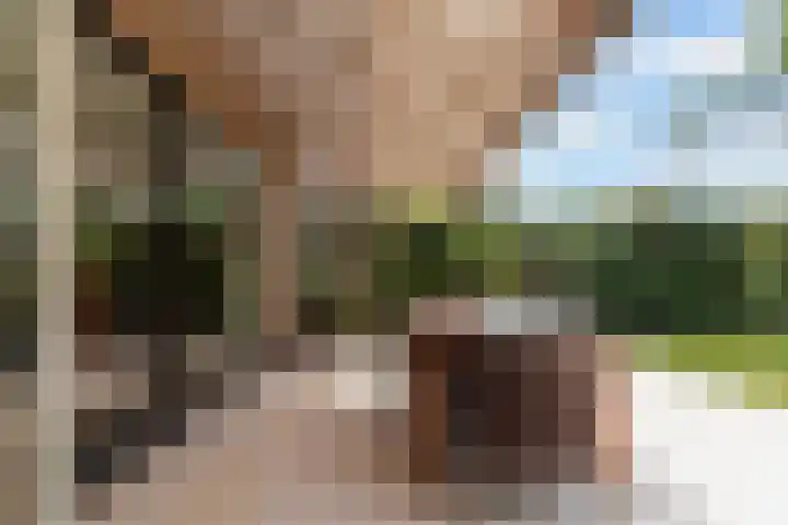 Admiraalsweg 8 Drunen thumbnail 28