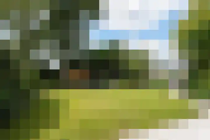 Admiraalsweg 8 Drunen thumbnail 29