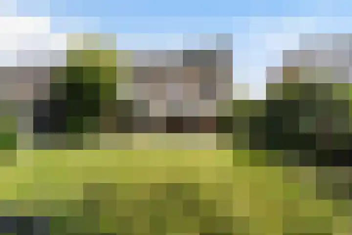 Admiraalsweg 8 Drunen foto 3