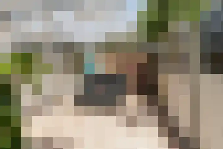 Admiraalsweg 8 Drunen thumbnail 31