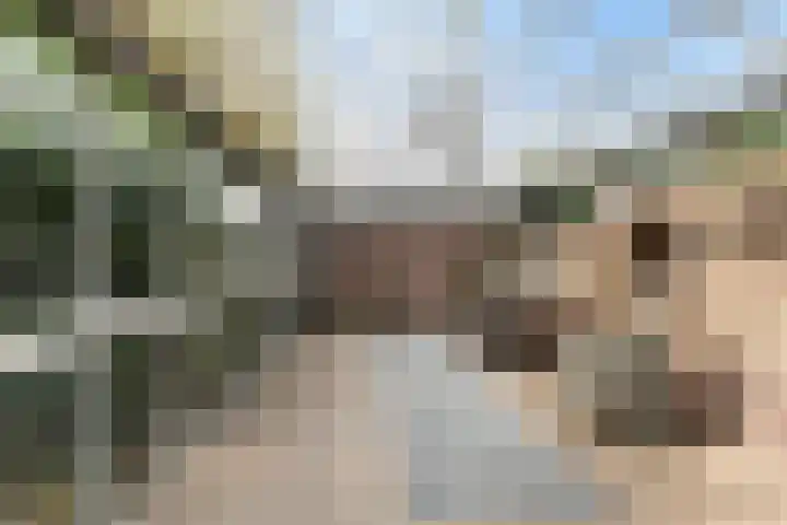 Admiraalsweg 8 Drunen thumbnail 32