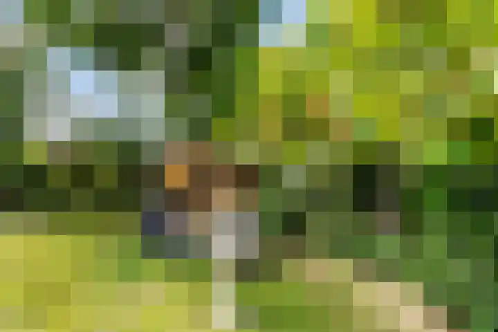 Admiraalsweg 8 Drunen thumbnail 33
