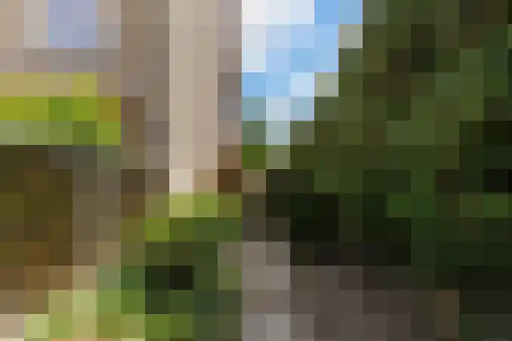 Admiraalsweg 8 Drunen thumbnail 35