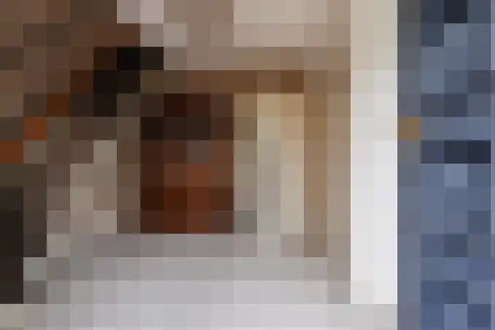 Admiraalsweg 8 Drunen thumbnail 4