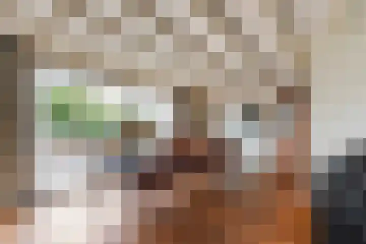 Admiraalsweg 8 Drunen thumbnail 7