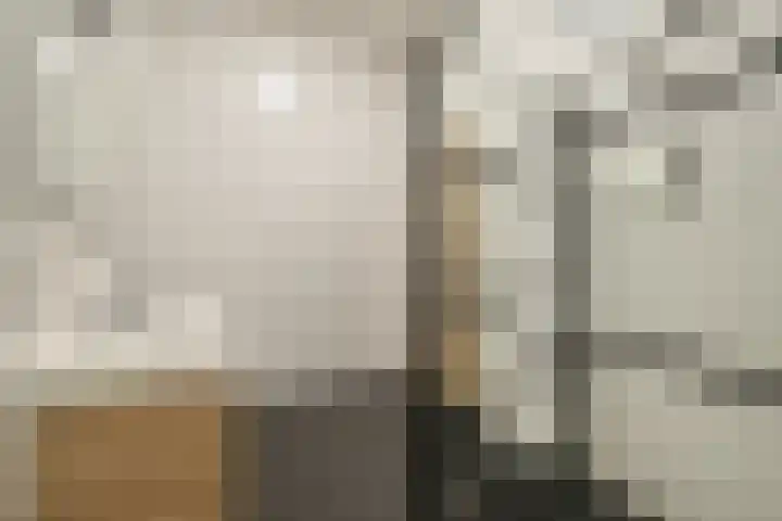 Admiralengracht 126 Amsterdam thumbnail 13