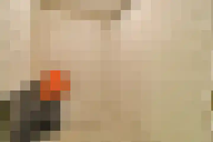 Admiralengracht 126 Amsterdam thumbnail 19