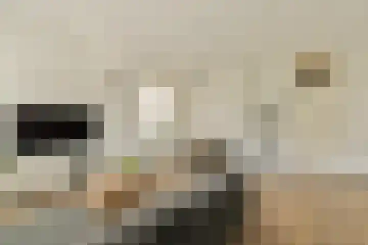 Admiralengracht 126 Amsterdam thumbnail 6