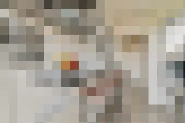 Admiralengracht 140 3 Amsterdam thumbnail 11