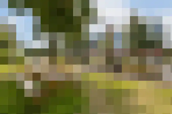Admiralengracht 140 3 Amsterdam thumbnail 24