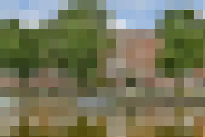 Admiralengracht 140 3 Amsterdam thumbnail 31