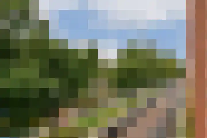 Admiralengracht 140 3 Amsterdam thumbnail 8