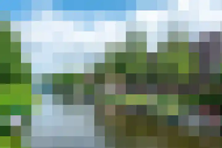 Admiralengracht 142 2 Amsterdam thumbnail 38