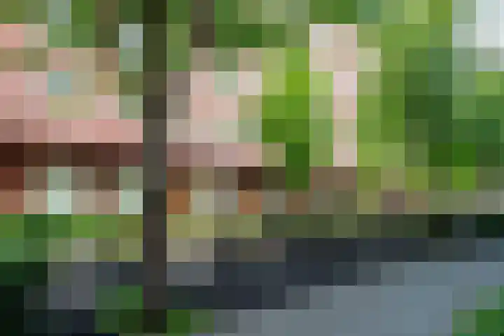 Admiralengracht 142 2 Amsterdam thumbnail 41