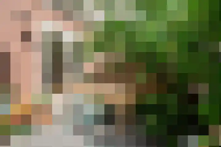Admiralengracht 142 2 Amsterdam thumbnail 9