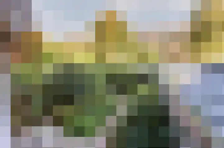 Admiralengracht 16 1 Amsterdam thumbnail 21