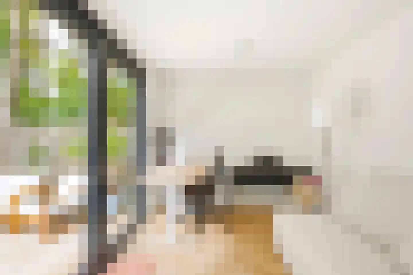 Admiralengracht 164 H Amsterdam thumbnail 13