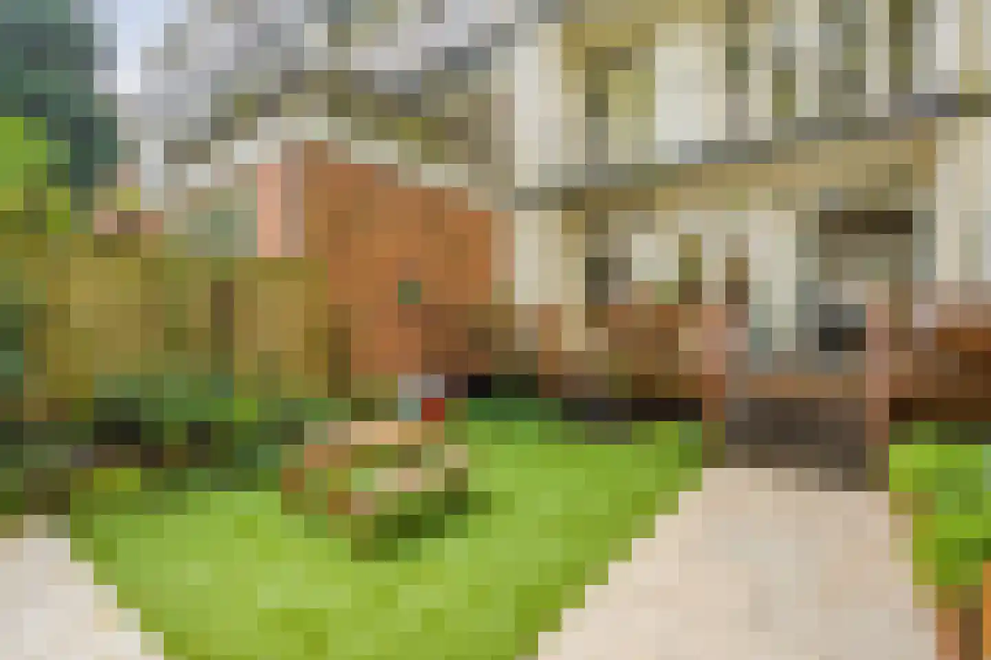 Admiralengracht 164 H Amsterdam thumbnail 14