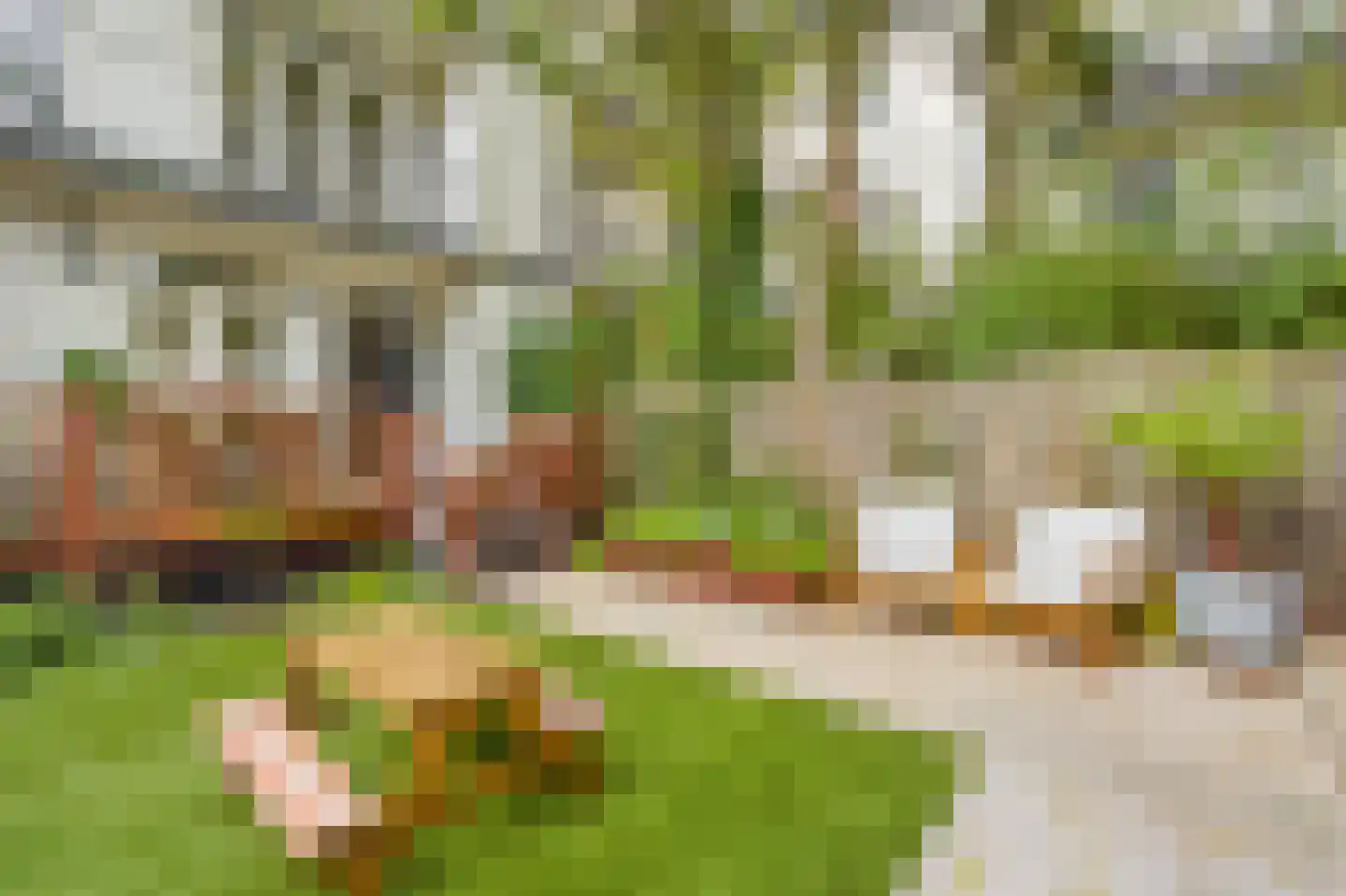 Admiralengracht 164 H Amsterdam thumbnail 15