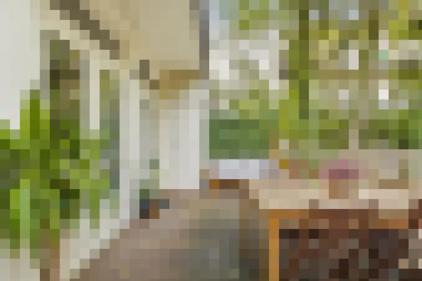 Admiralengracht 164 H Amsterdam thumbnail 18