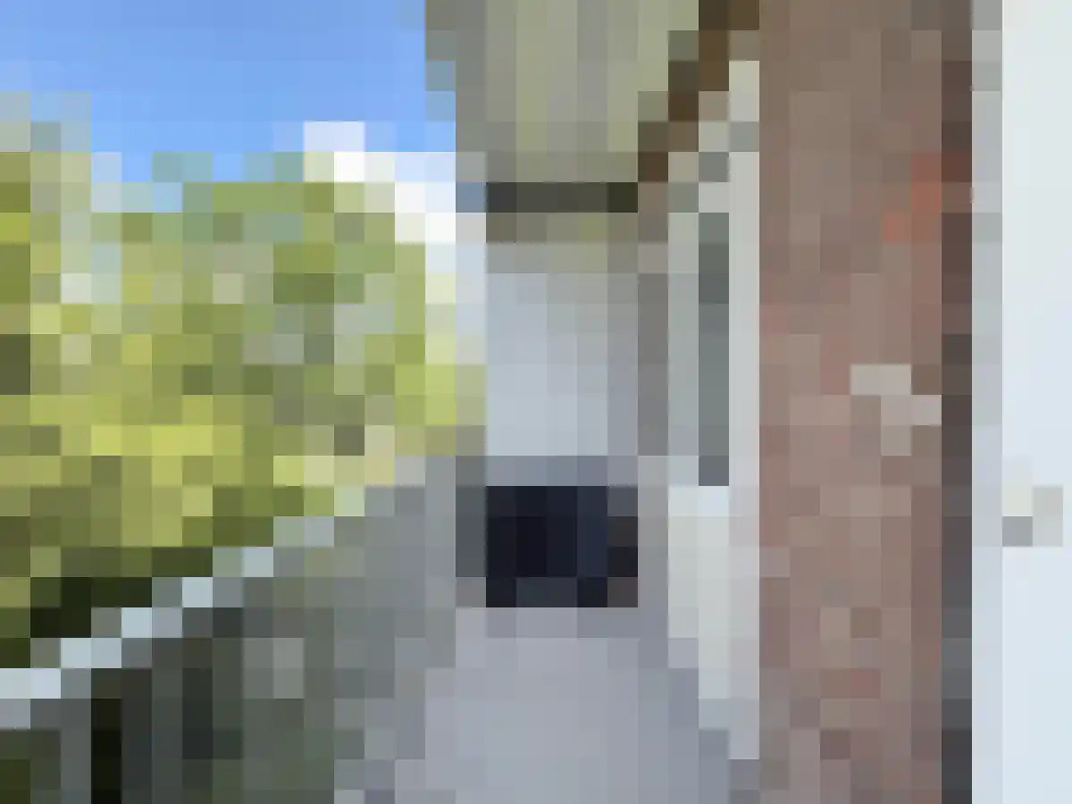 Admiralengracht 181 Amsterdam thumbnail 5