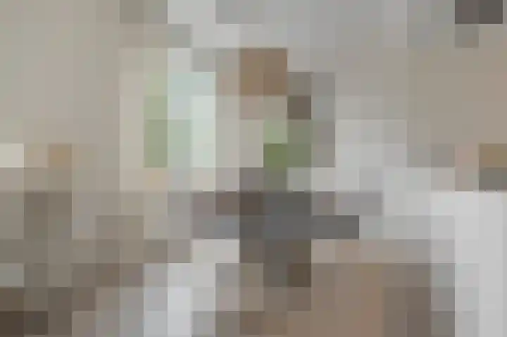 Admiralengracht 215 2 Amsterdam thumbnail 11