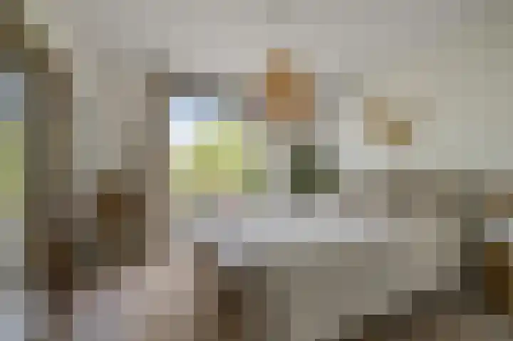 Admiralengracht 215 2 Amsterdam thumbnail 13