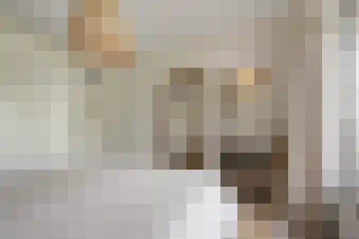 Admiralengracht 215 2 Amsterdam thumbnail 16