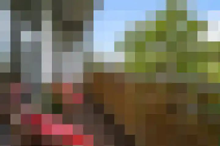 Admiralengracht 215 2 Amsterdam thumbnail 24