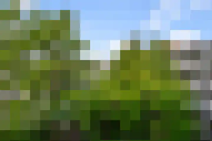 Admiralengracht 215 2 Amsterdam thumbnail 25