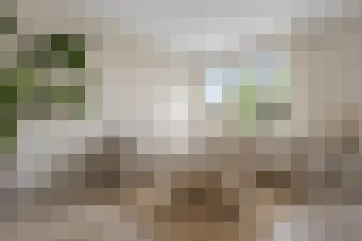 Admiralengracht 215 2 Amsterdam thumbnail 6
