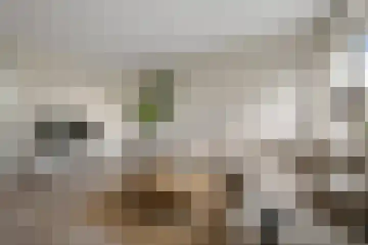 Admiralengracht 215 2 Amsterdam thumbnail 7