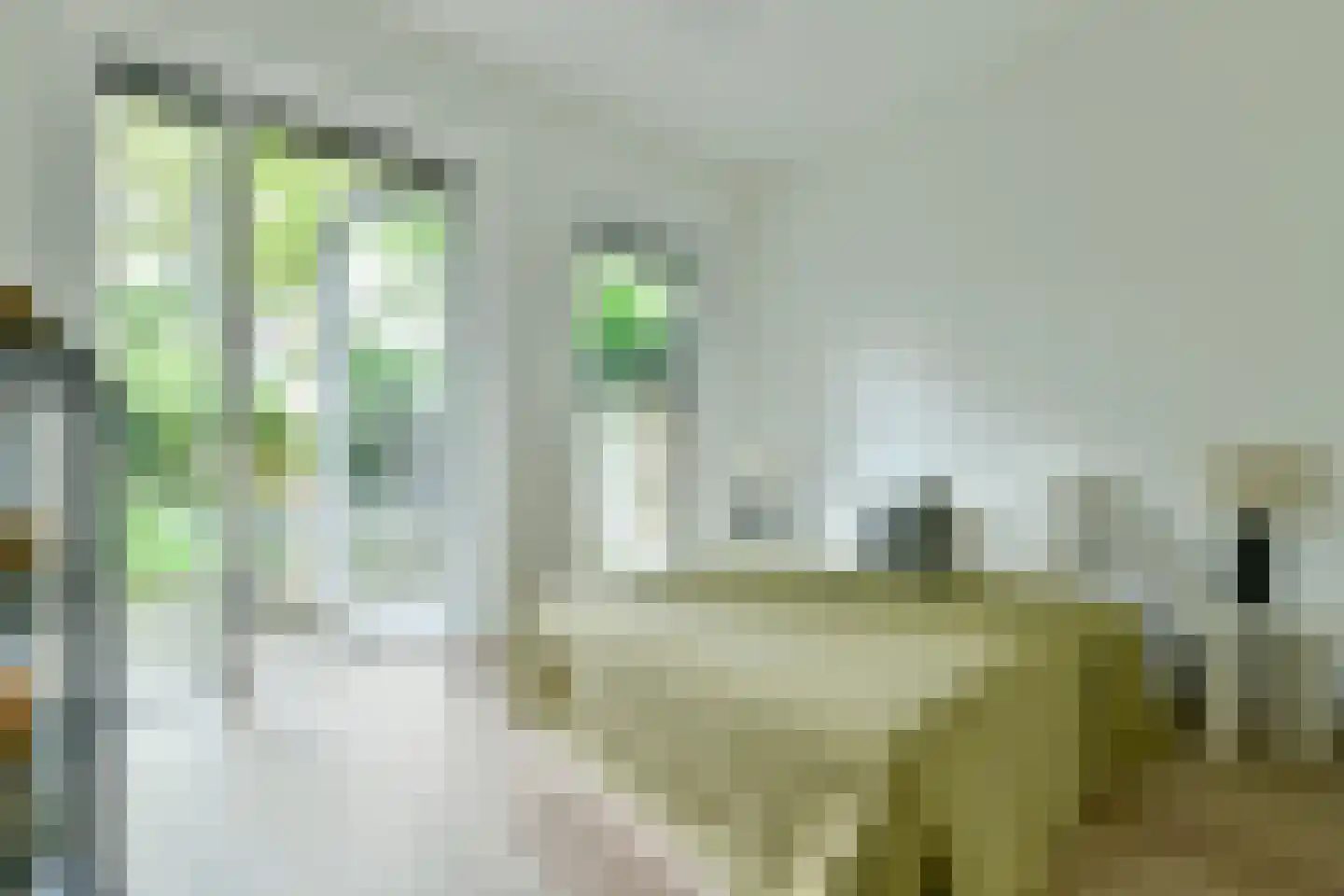 Admiralengracht 263 Amsterdam thumbnail 11